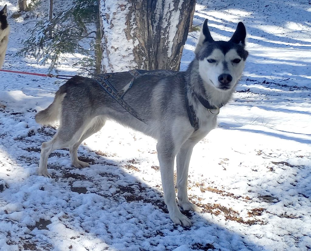 Sally of alta valley race